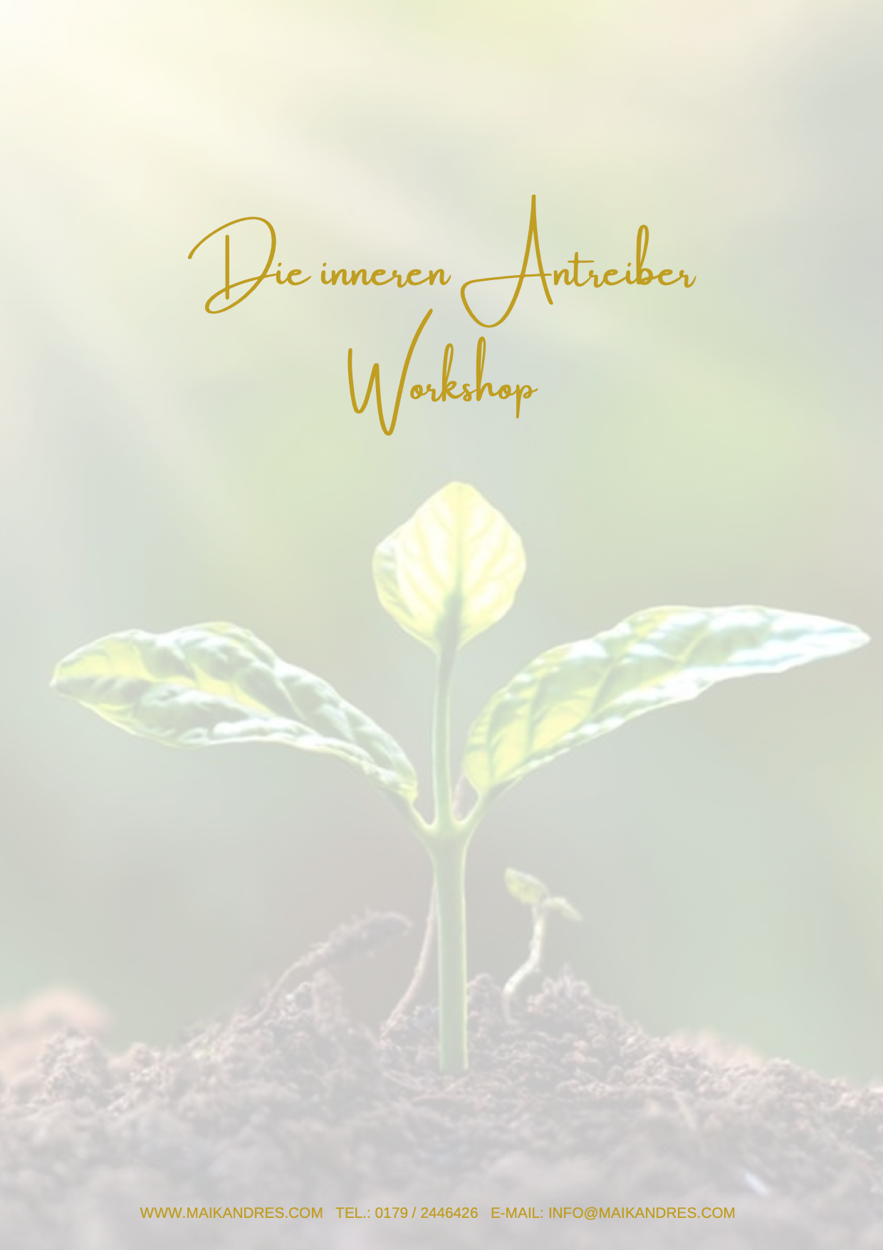 Workshop Innere Antreiber
