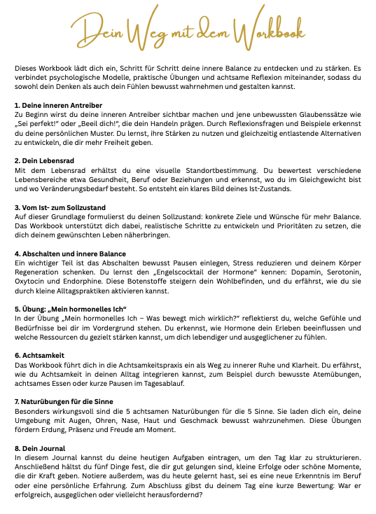 Workbook Innere Antreiber