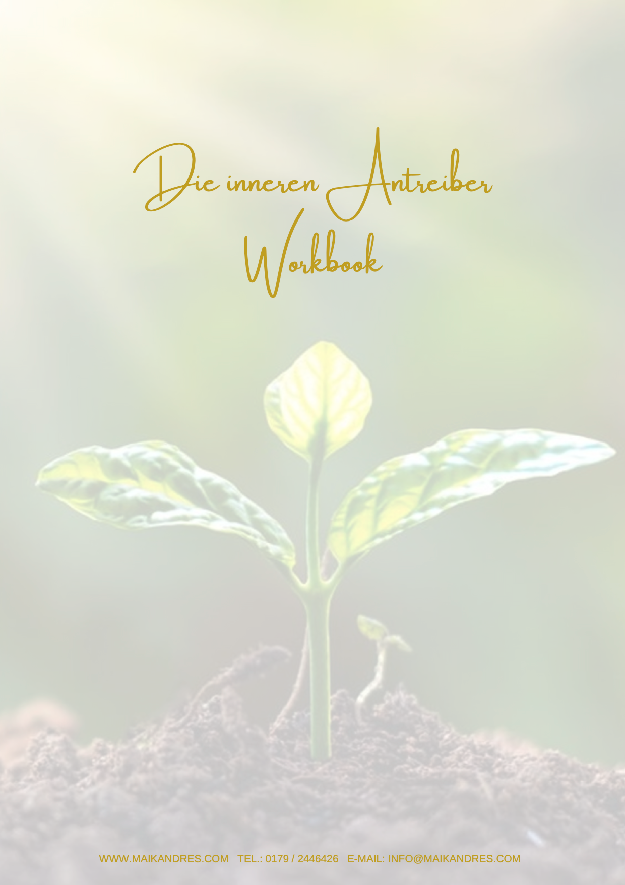 Workbook Innere Antreiber